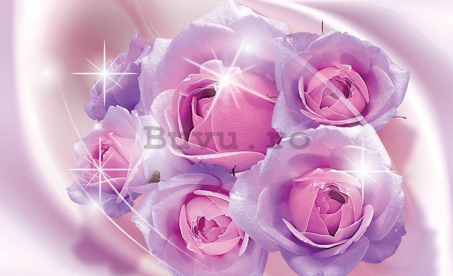 Tablou canvas: Roz trandafiri - 75x100 cm