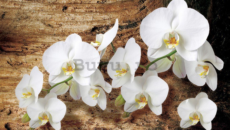 Tablou canvas: Orhideele pe lemn - 75x100 cm