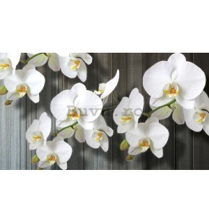 Tablou canvas: Orhidee albe (3)  - 75x100 cm