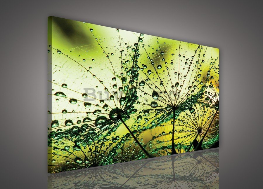 Tablou canvas: Picături de ploaie (2) - 75x100 cm