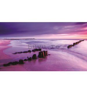 Tablou canvas: Apus de soare violet pe plajă - 75x100 cm