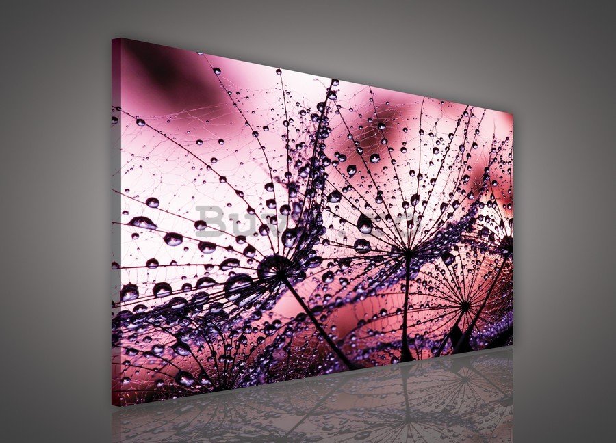 Tablou canvas: Picături de ploaie (1) - 75x100 cm