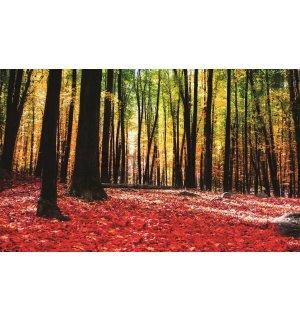 Tablou canvas: Pădure (3) - 75x100 cm