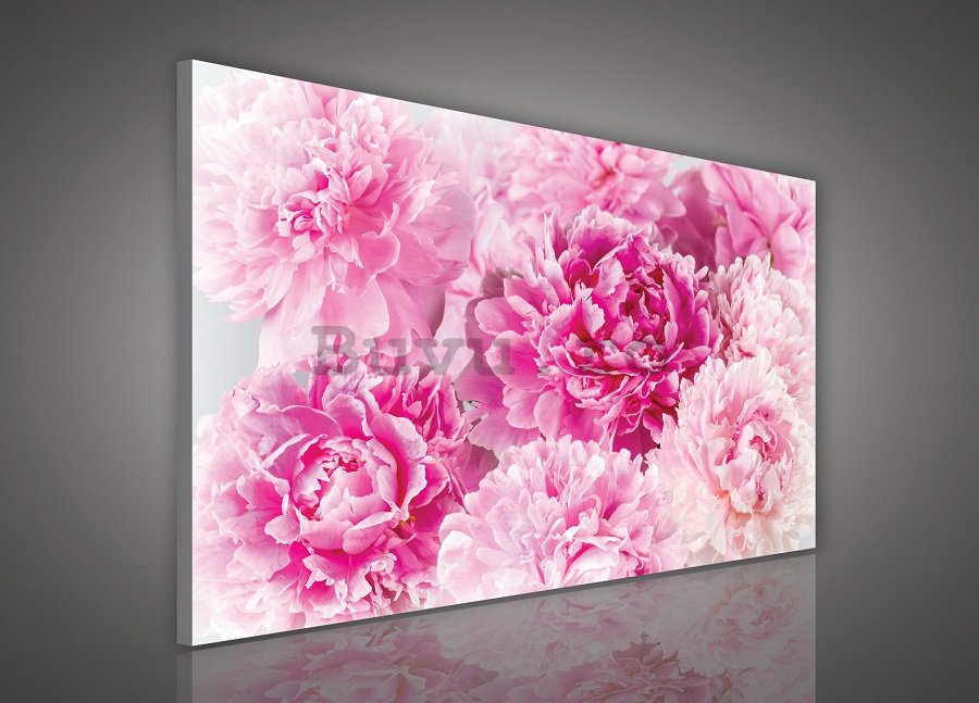 Tablou canvas: Roz trandafiri (2) - 75x100 cm