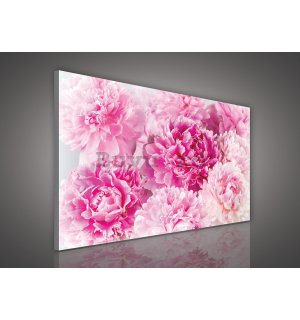 Tablou canvas: Roz trandafiri (2) - 75x100 cm