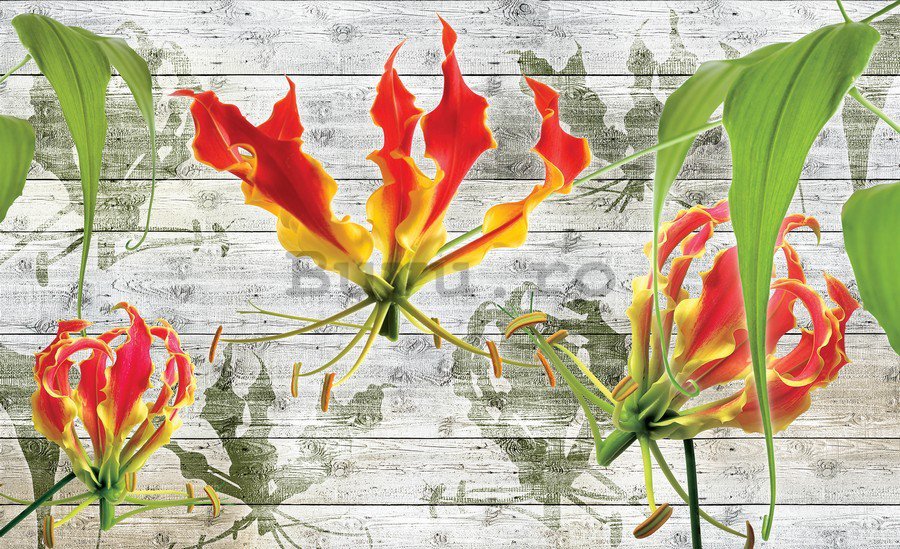 Tablou canvas: Flori abstracte (4) - 75x100 cm