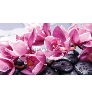 Tablou canvas: Pietre balneare și orhideea roz - 75x100 cm