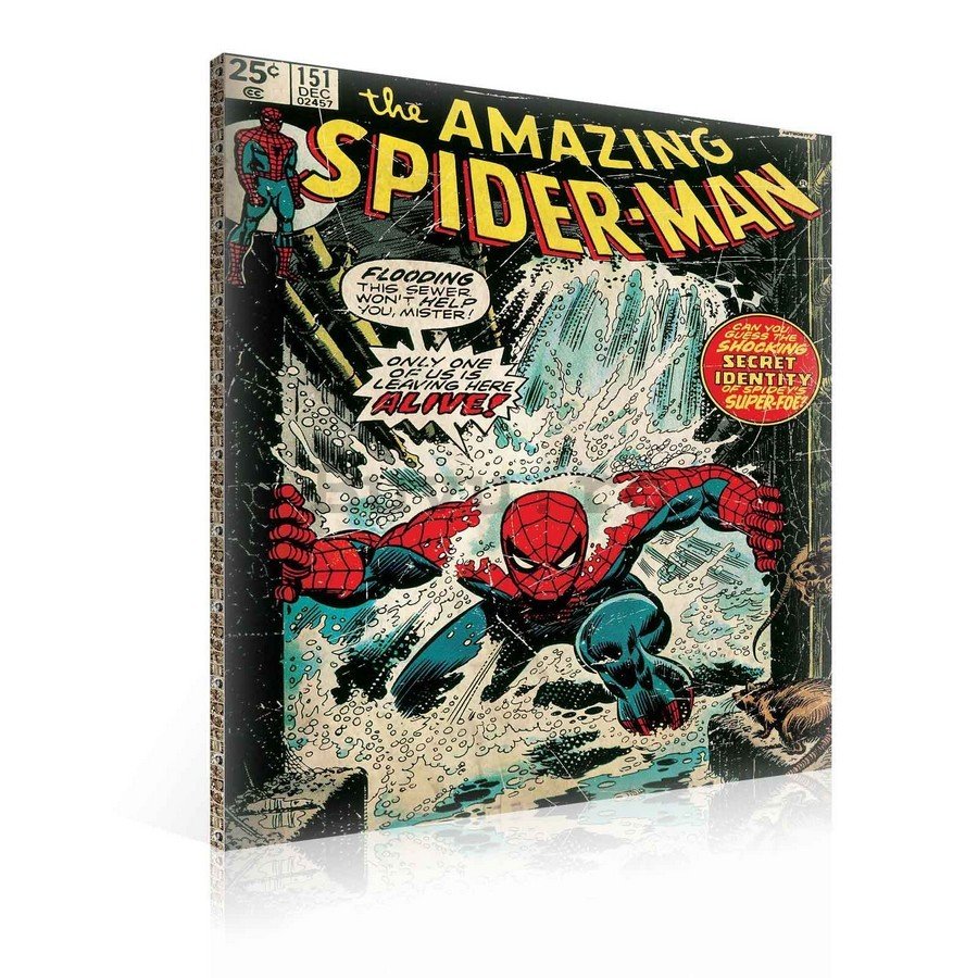 Tablou canvas: Amazing Spiderman (comics) - 75x100 cm