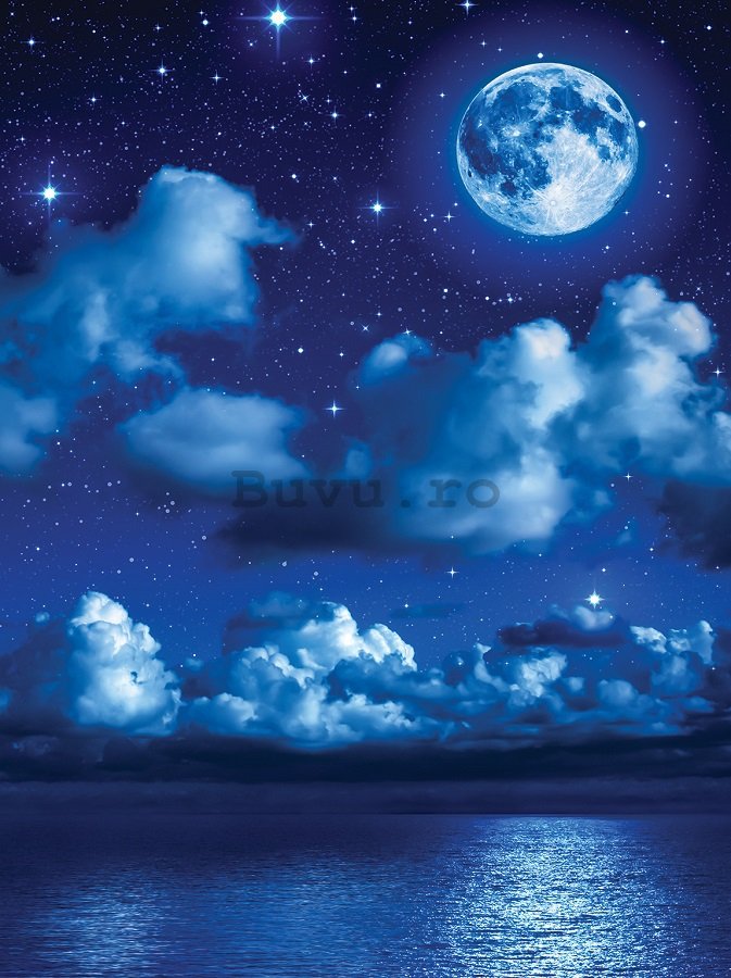 Fototapet: Noapte cu lună - 254x184 cm