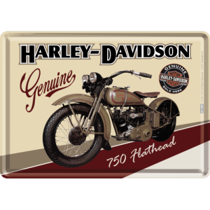 Ilustrată metalică - Harley-Davidson 750 Flathead
