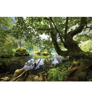 Fototapet vlies: Băltoacă de pădure - 184x254 cm