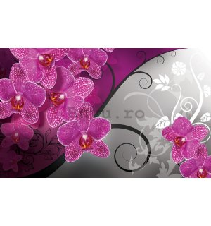 Fototapet vlies: Orhidee (3) - 254x368 cm
