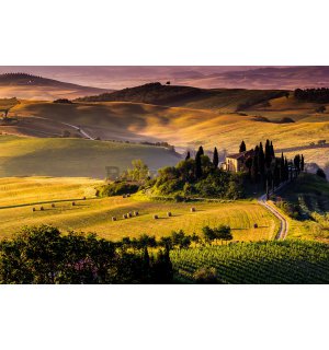 Fototapet vlies: Toscana - 254x368 cm