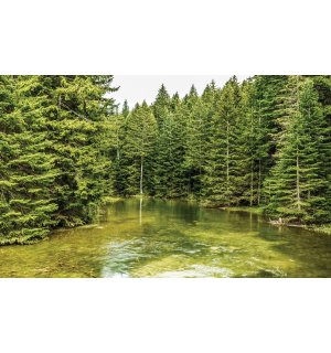 Fototapet vlies: Băltoacă de pădure (2) - 254x368 cm