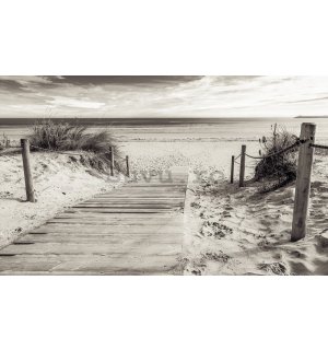 Fototapet vlies: Plajă (alb-negru) - 254x368 cm