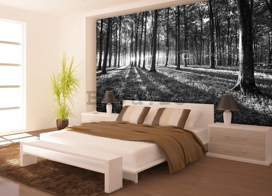 Fototapet vlies: Pădure alb negru (1) - 254x368 cm