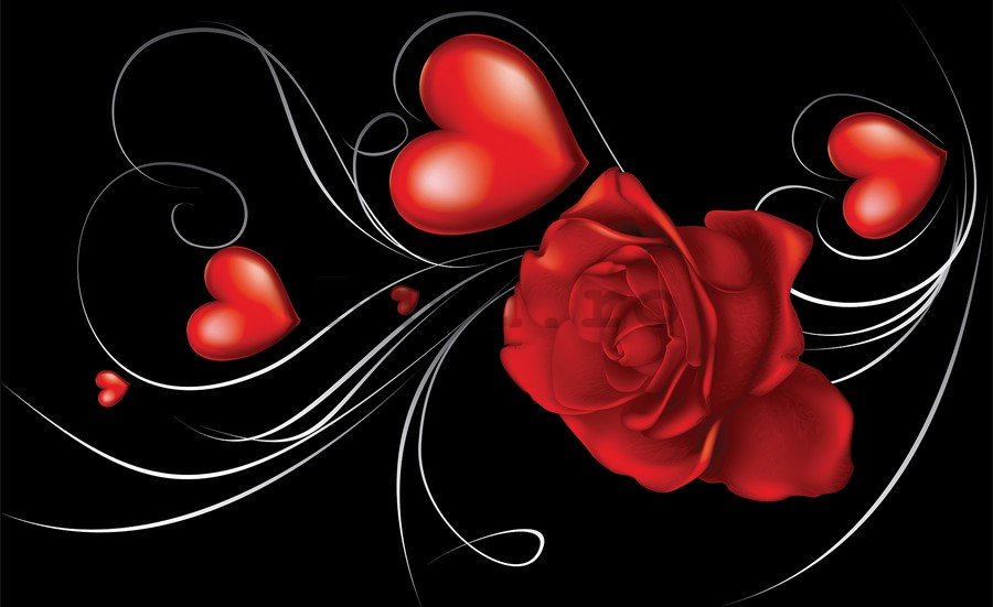 Fototapet vlies: Trandafir și inimă - 254x368 cm