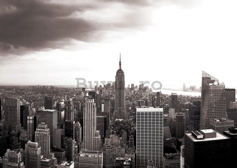 Fototapet vlies: Manhattan (Alb-negru) - 254x368 cm