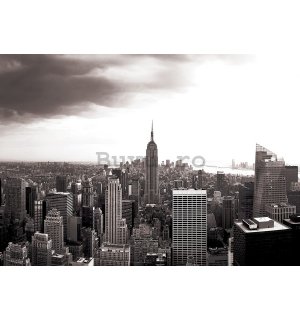 Fototapet vlies: Manhattan (Alb-negru) - 254x368 cm