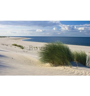 Fototapet vlies: Plajă nisipoasă (1) - 254x368 cm
