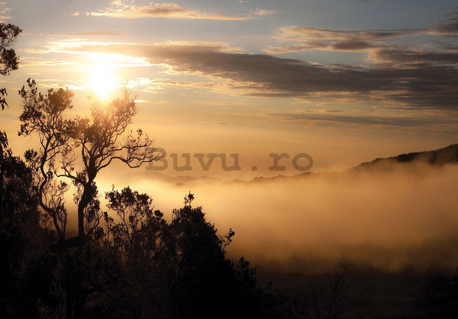 Fototapet: Răsărit de soare deasupra pădurii cețoase - 184x254 cm