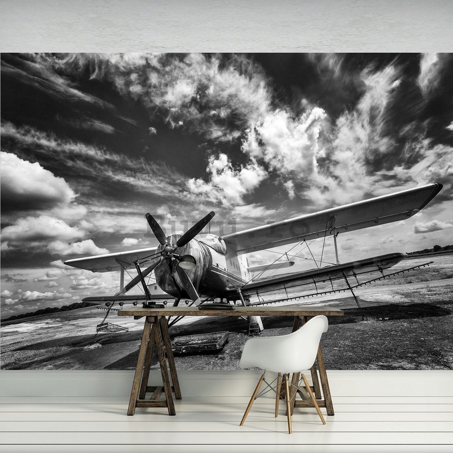 Fototapet: Avion biplan (alb-negru) - 184x254 cm