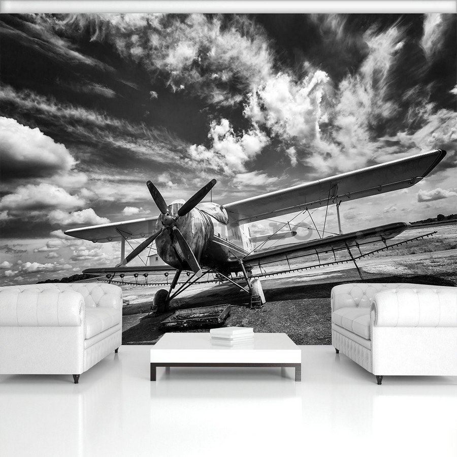 Fototapet: Avion biplan (alb-negru) - 254x368 cm