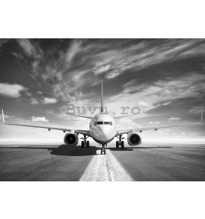 Fototapet: Avion cu reacție (alb-negru) - 184x254 cm