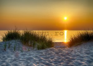 Fototapet: Apus de soare pe plajă (5) - 184x254 cm