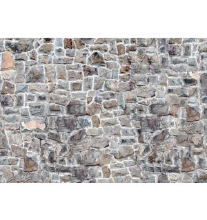 Fototapet: Zid de piatră (7) - 184x254 cm