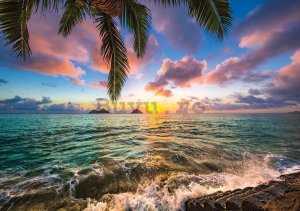 Fototapet: Paradis tropic (3) - 184x254 cm