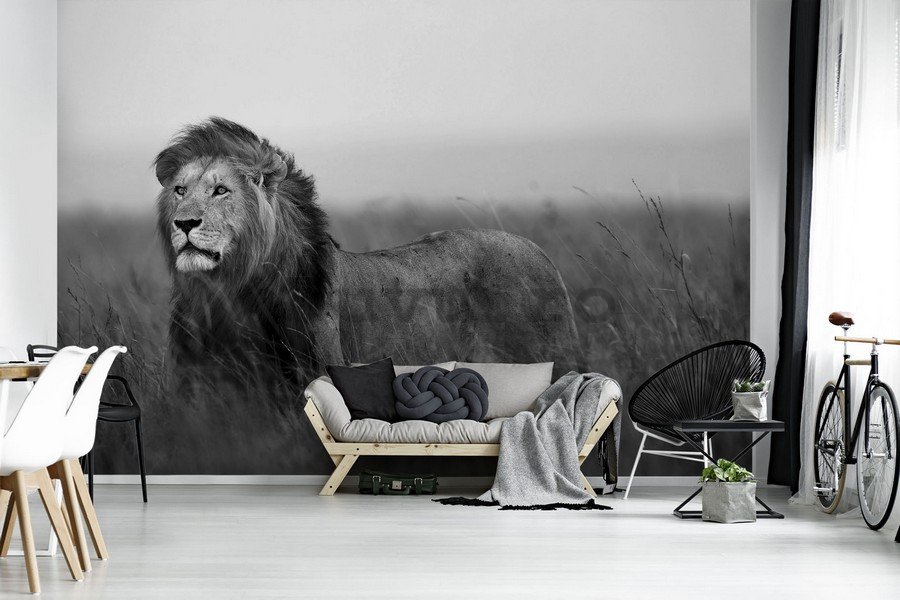 Fototapet: Leu (alb-negru) - 184x254 cm