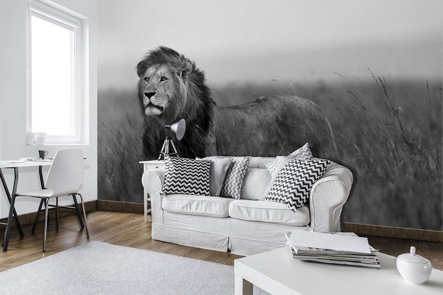 Fototapet: Leu (alb-negru) - 184x254 cm