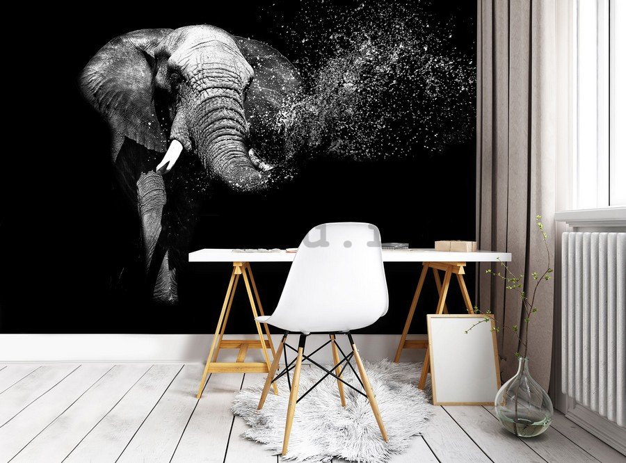 Fototapet: Elefant alb-negru - 184x254 cm