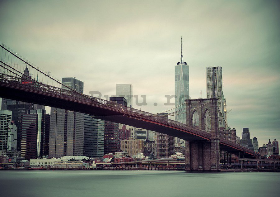 Fototapet: Brooklyn Bridge (2) - 254x368 cm