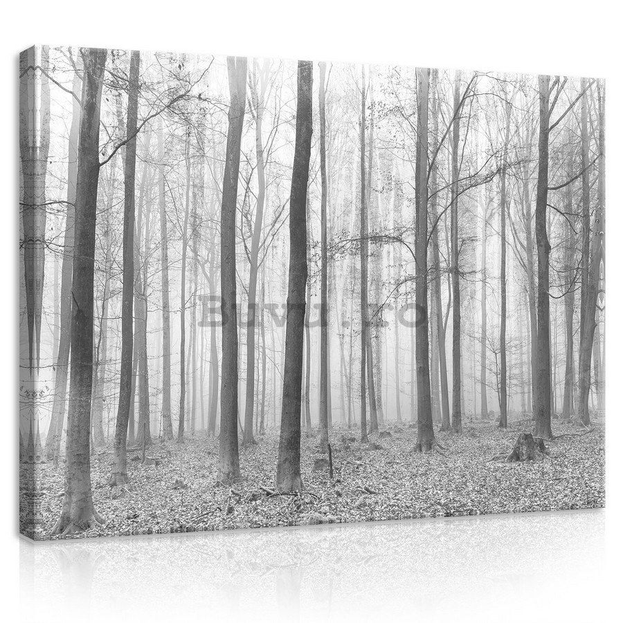 Tablou canvas: Ceață în pădure (2) - 75x100 cm