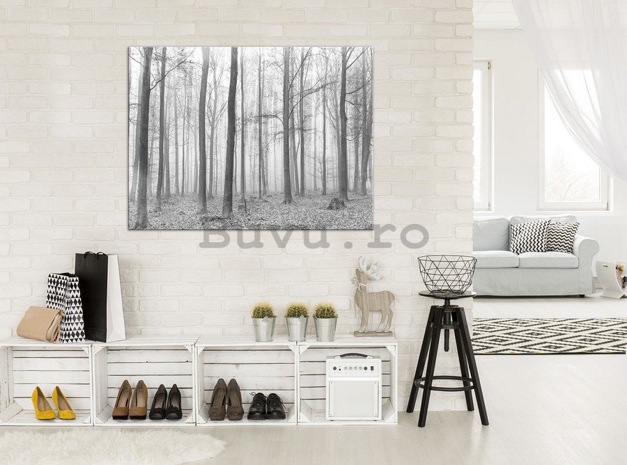 Tablou canvas: Ceață în pădure (2) - 75x100 cm
