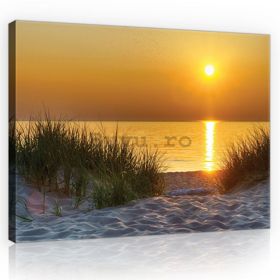 Tablou canvas: Apus de soare pe plajă (5) - 75x100 cm