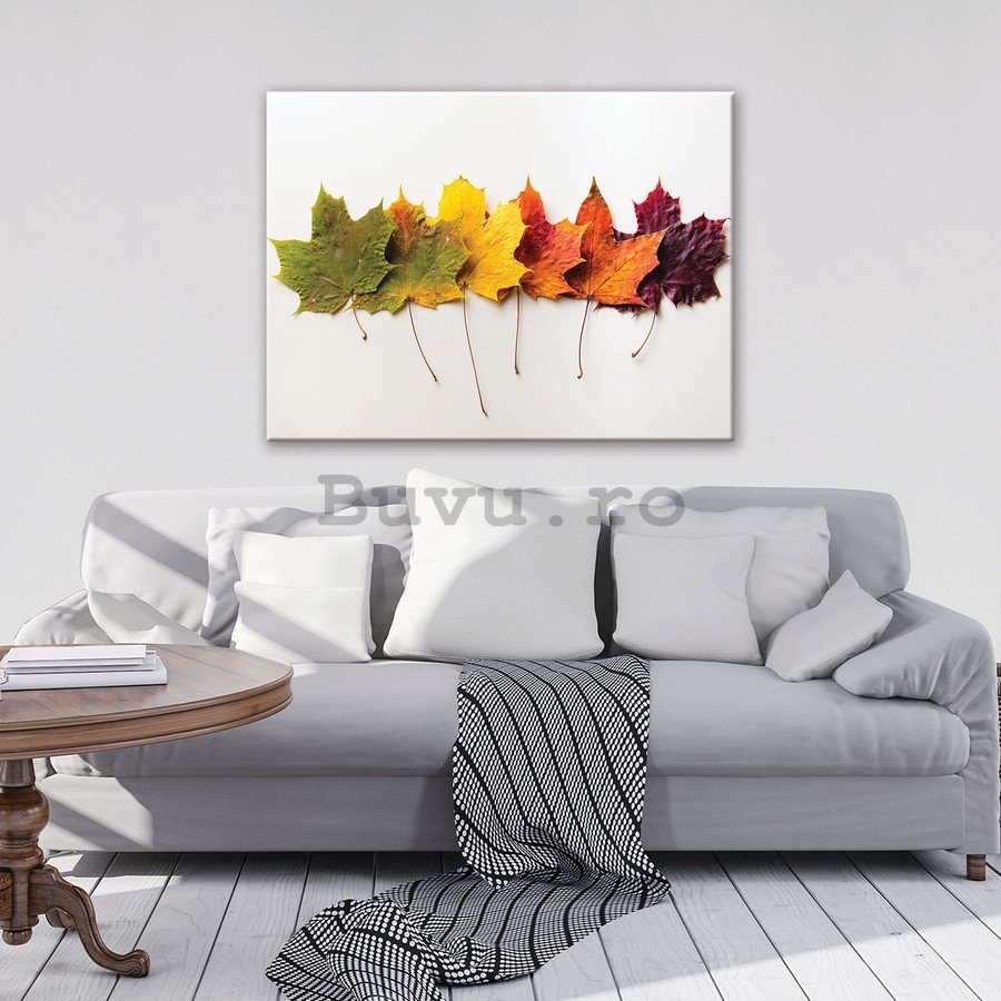 Tablou canvas: Frunze de toamnă - 75x100 cm