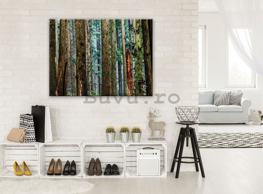 Tablou canvas: Pădurea de conifere - 75x100 cm