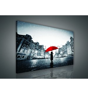 Tablou canvas: În ploaie - 75x100 cm