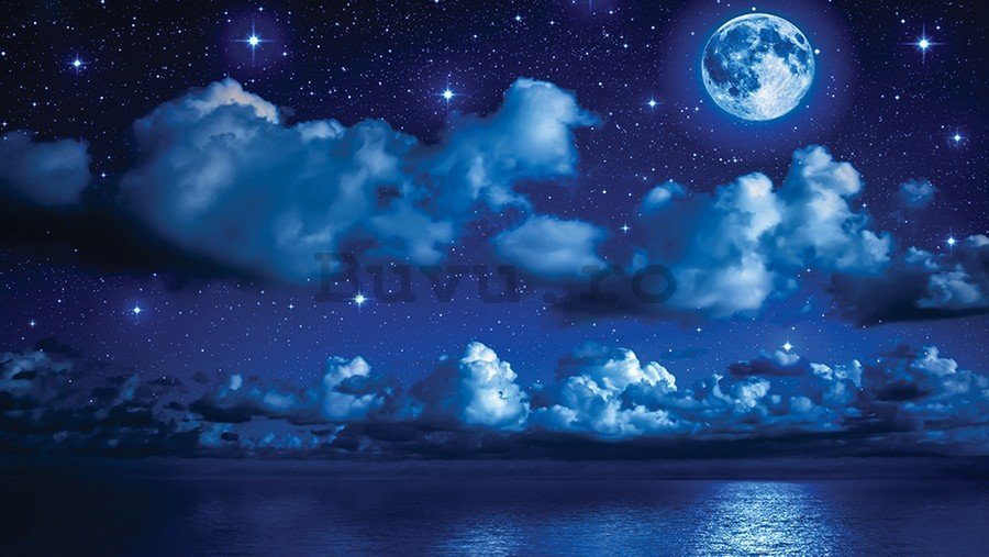 Fototapet vlies: Noapte cu lună - 184x254 cm