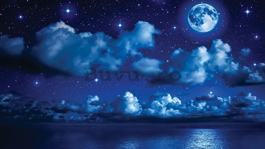 Fototapet vlies: Noapte cu lună - 254x368 cm