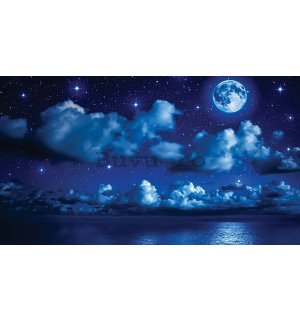 Fototapet vlies: Noapte cu lună - 254x368 cm