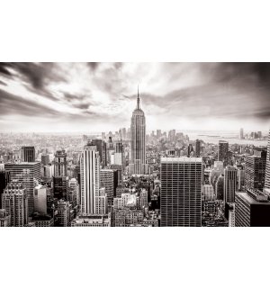 Fototapet vlies: Vedere New York (alb-negru) - 254x368 cm