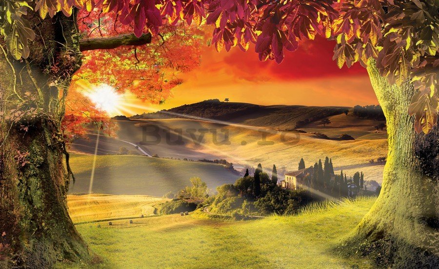 Fototapet vlies: Toscana (apus de soare) - 184x254 cm
