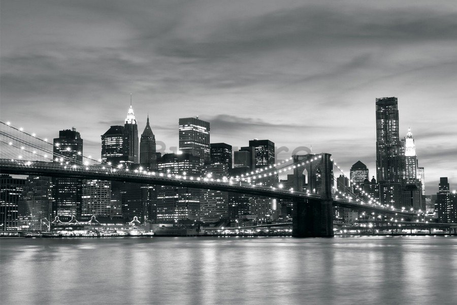 Fototapet vlies: Brooklyn Bridge - 254x368 cm