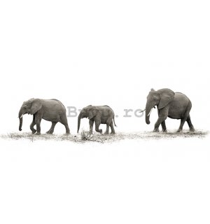 Tablou canvas - Mario Moreno, The Elephants