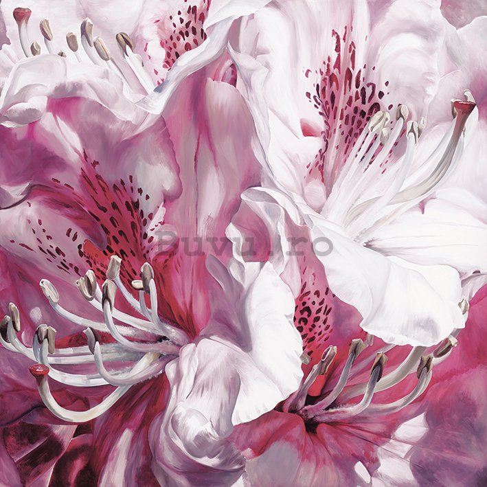 Tablou canvas - Sarah Caswell, Froth And Flounce