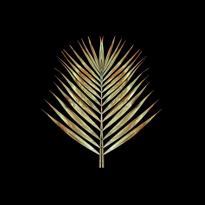 Tablou canvas - Alyson Fennell, Gold Deco Palm